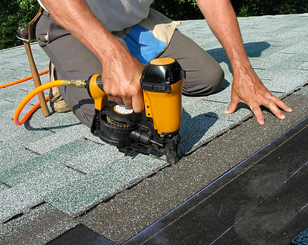Best Roof Gutter Cleaning  in Rochelle, IL