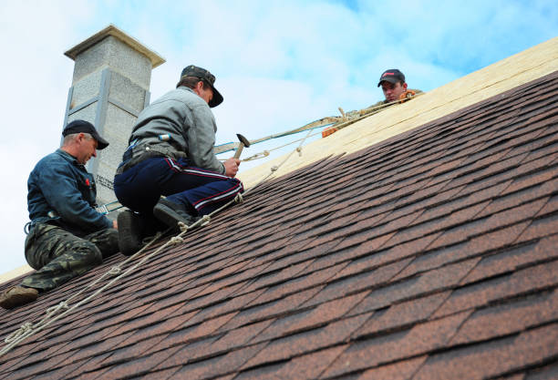Best Best Roofing Contractors  in Rochelle, IL